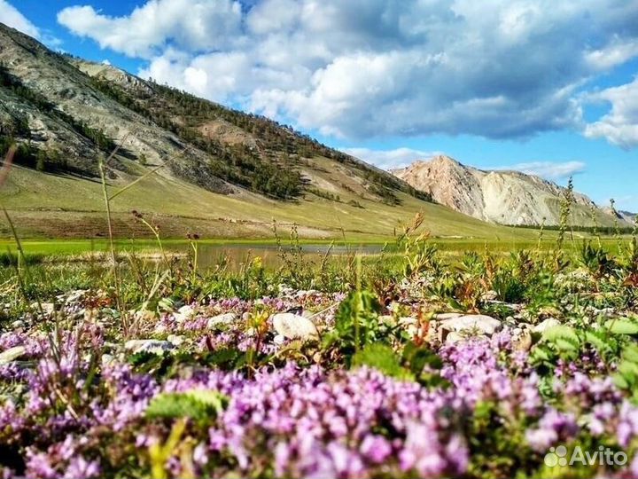 Экскурсии на Ольхоне из Хужира