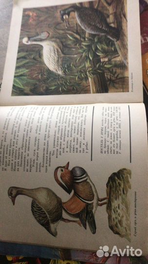 Книги детские оригиналы из СССР