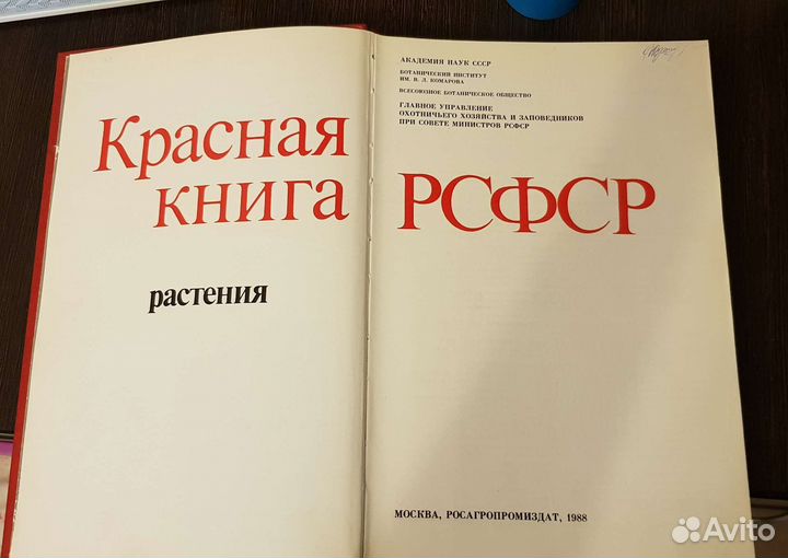 Красная Книга РСФСР растения