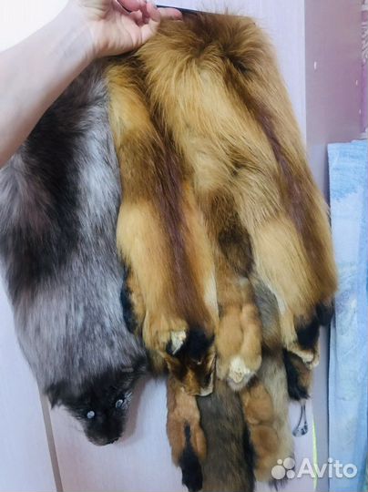 Шкурка,мех лиса писец