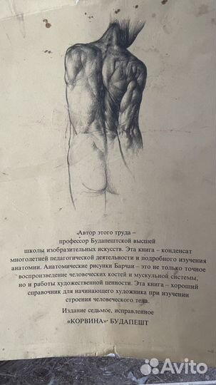 Книга Анатомия для художников. Ёне Барчаи