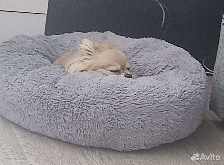 Лежанка для собак и кошек