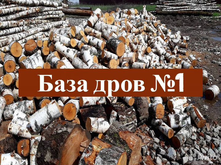 Дрова березовые