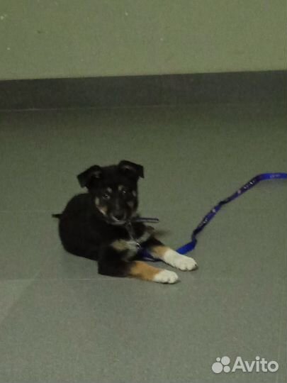 Нежная спокойная Малышка в самые добрые руки