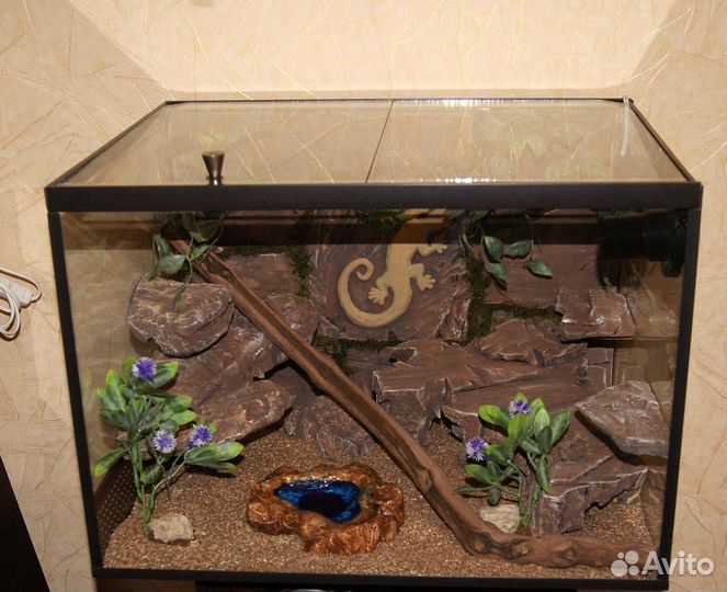 Террариум для эублефара