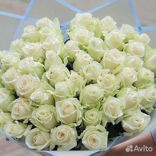 51 Роза, Букеты Цветы Розы 25 101 501 1001