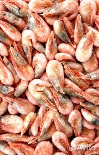 Оптом Креветки