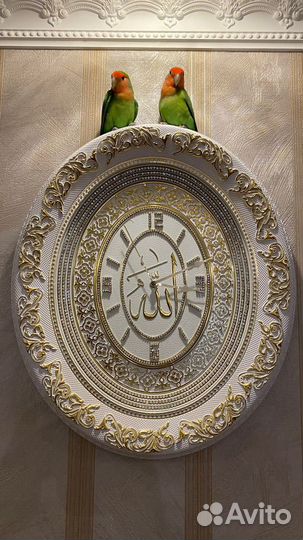 Попугай неразлучники с клеткой вместе