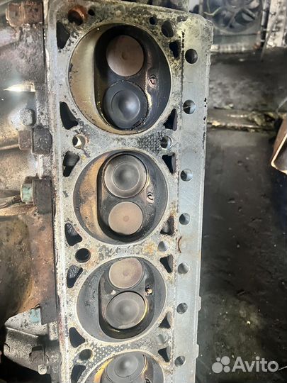 Гбц головка 4216