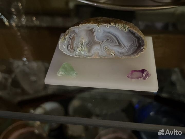 Стилактиды