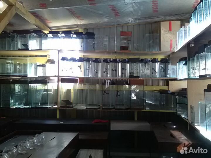 Аквариумы в наличии