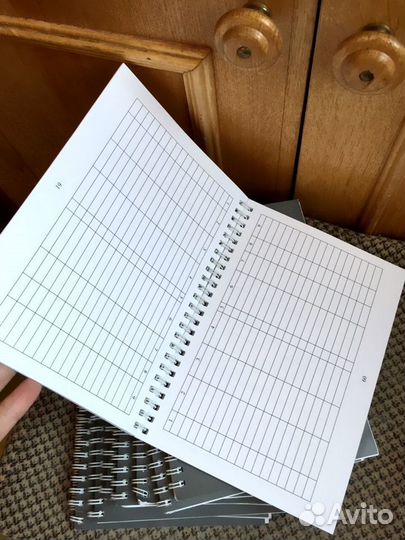 Ежедневник, Журналы ригистрац, Блокноты