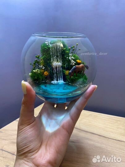 Флорариум моссариум подарок декор мох растения