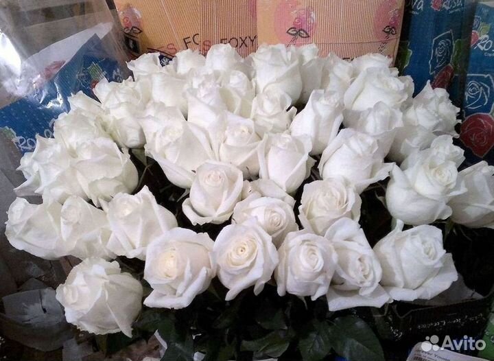 Метровые розы Доставка цветов