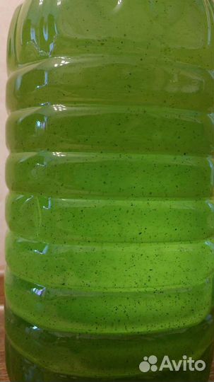 Живая суспензия хлореллы