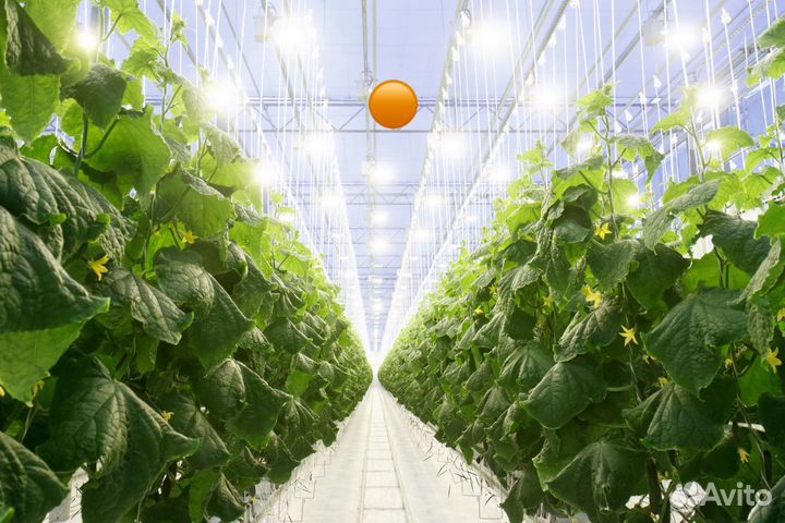 Требуется сборщик урожая г Бобров