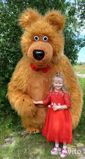 Белый мишка поздравление/Бурый мишка/Аниматоры