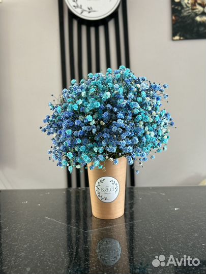 Гипсофила в стаканчике