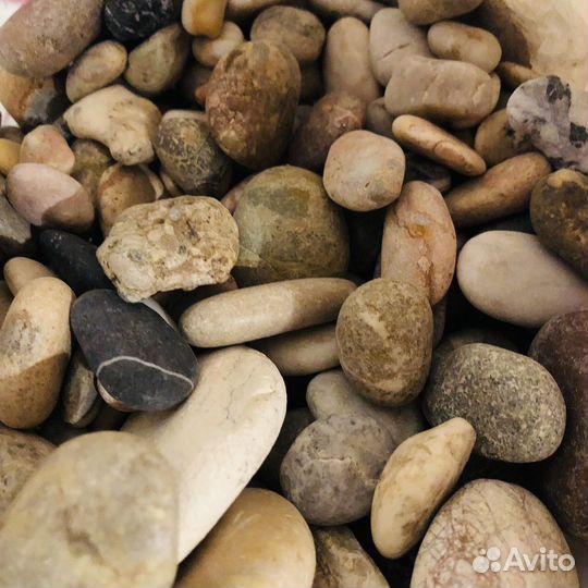 Ракушки морские камушки