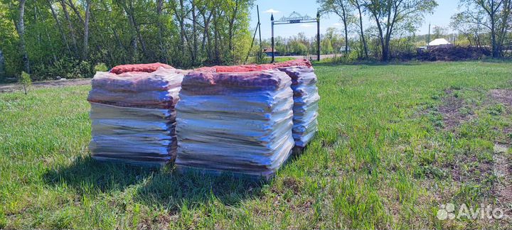 Картофель семенной сорт Гала