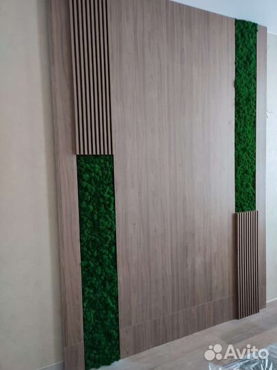 Озеленение стабилизированным мхом