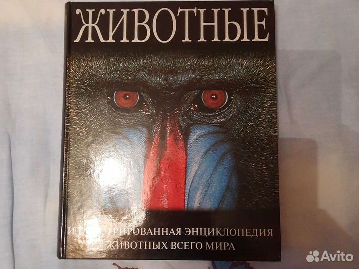 Иллюстрированная энциклопедия животных всего мира