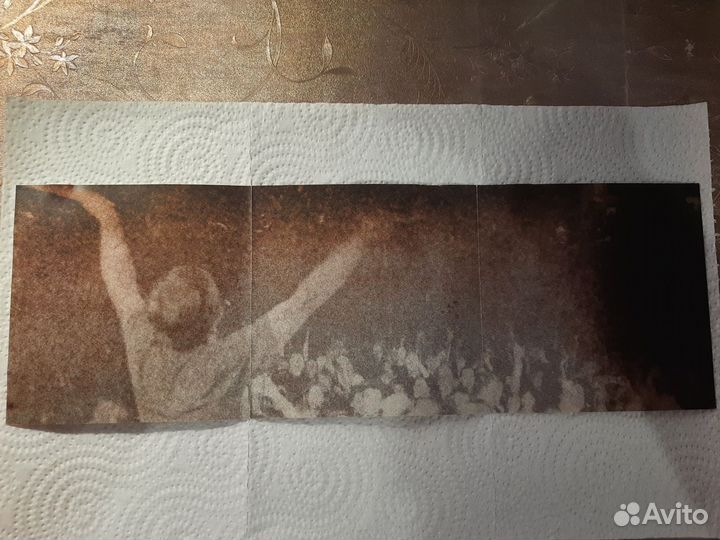 CD диск Дельфин 