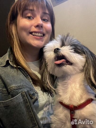 Ищу попутчицу для поездки в турцию