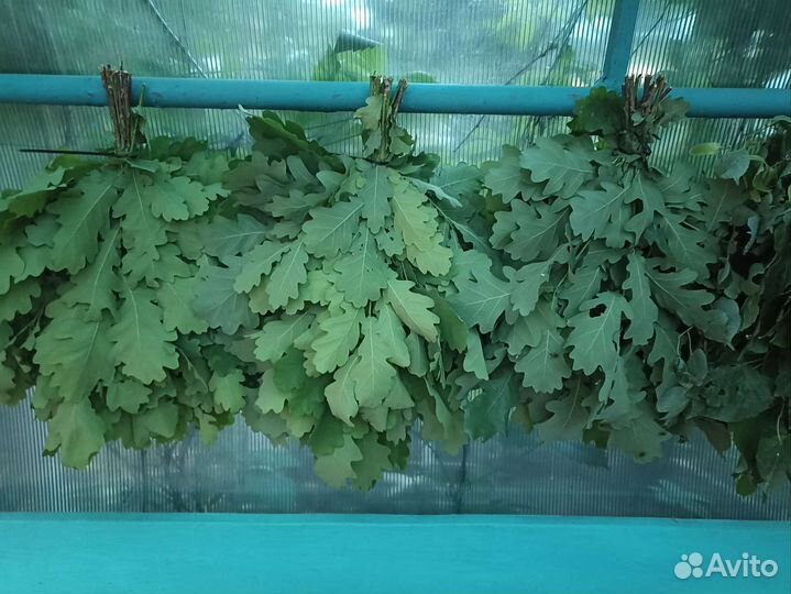 Банные веники