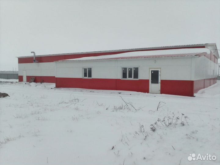 Мясное производство с убойным цехом