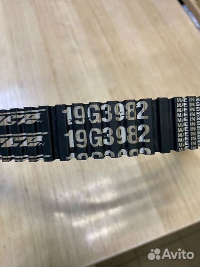 Ремень вариатора 19G3982 Gates