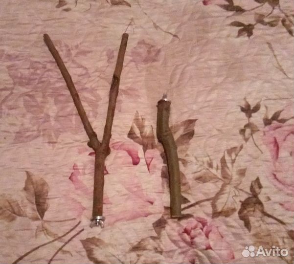 Жердочки для птиц