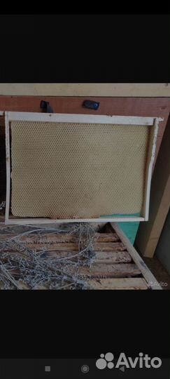 Сушь для пчел,рамки и пчелы