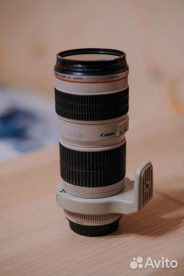 Canon ef 70 200mm f4l