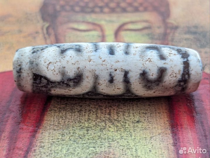 Дзи Насекомое