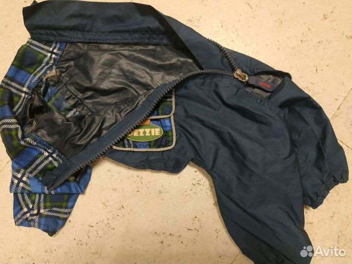 Костюм для собак dezzie (мальчик)