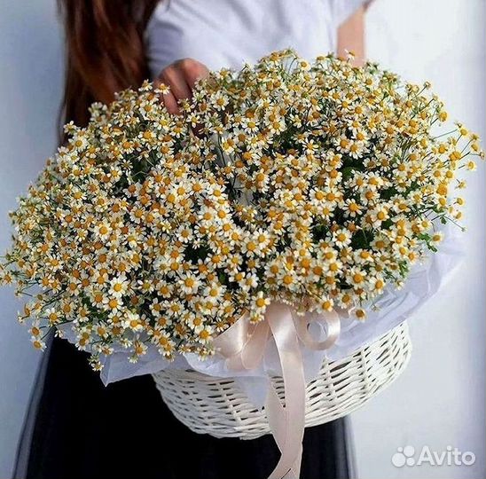 Букеты. Доставка ромашек