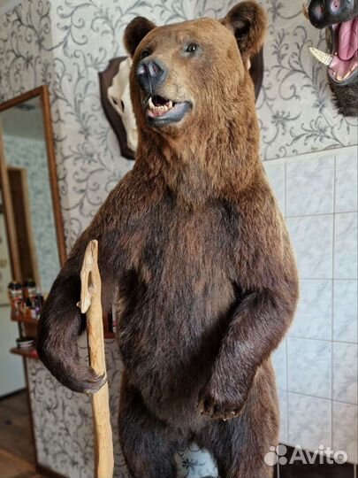 Имитация медведя