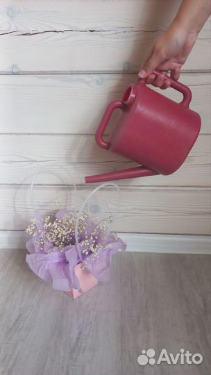 Лейка садовая 2.5 л пластик бу