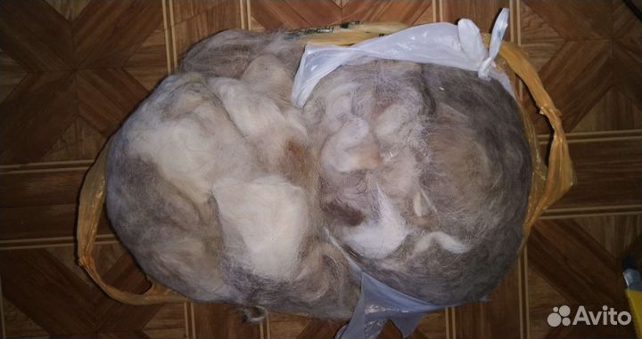 Собачья шерсть пух