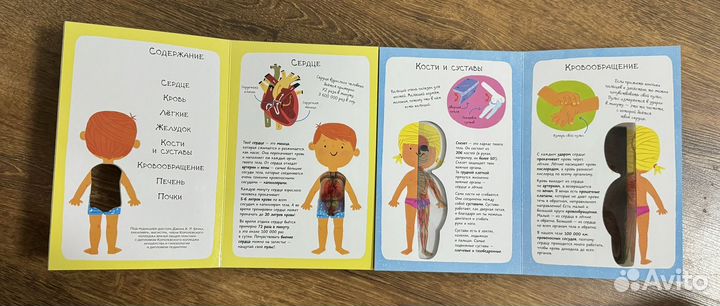 Тело человека. Книга детская