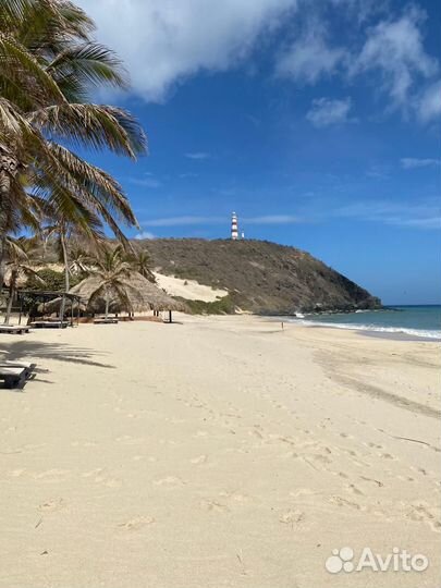 Отзыв об отдыхе в Венесуэле