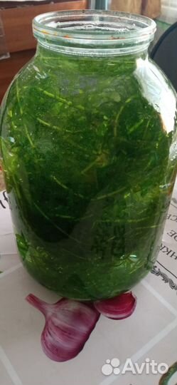 Растения для аквариума