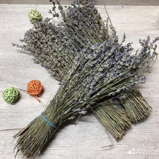 Лекарственные травы: зверобой, татар чай, лаванда