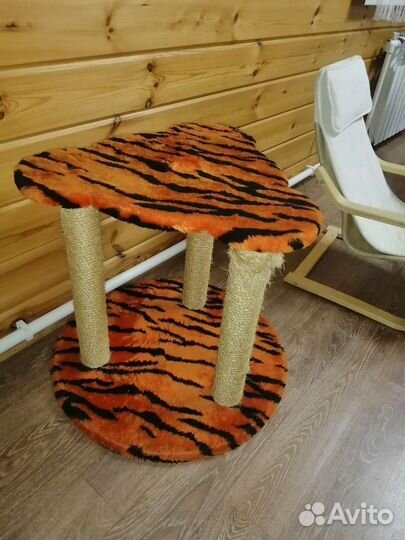 Кошка в дар бесплатно