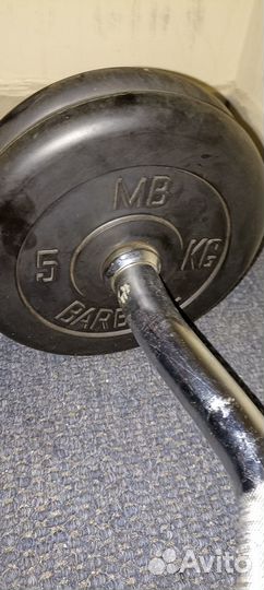 Штанга с изогнутым грифом и блинами