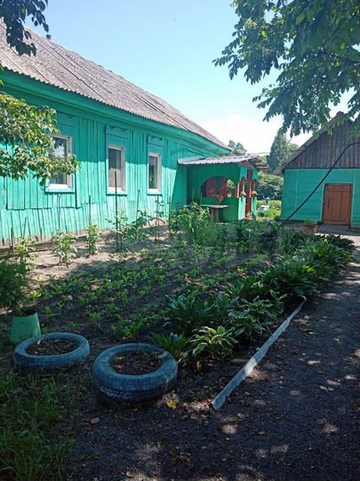 Дом 48 м² на участке 50 сот.