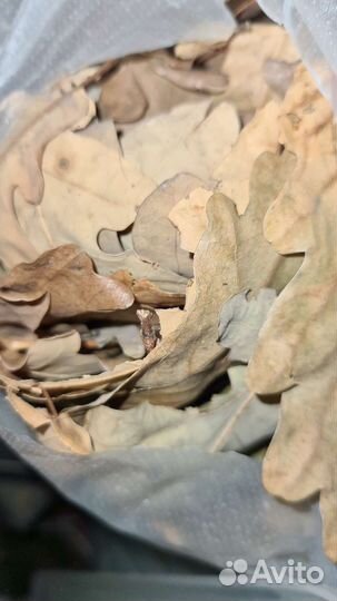 Товары для улиток