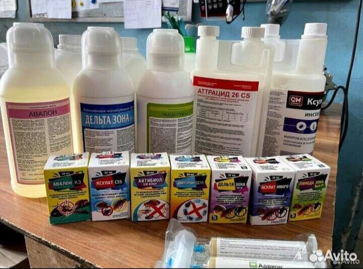 Уничтожение клопов тараканов мышей блох плесени ос