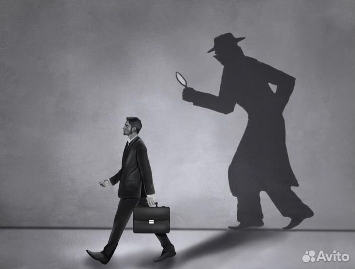 Детективное агентство, частный детектив, услуги